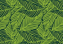 Palm leaves.png