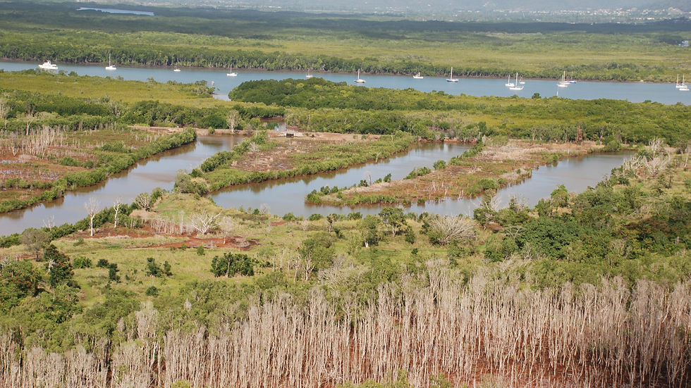 Firewood Creek in the early 2000s. Photo by Steven Nowakowski.