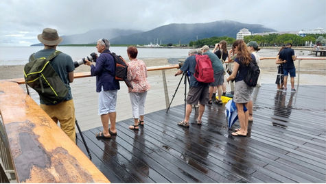 2025 Wave the Waders Goodbye event at the Cairns Esplanade Foreshore