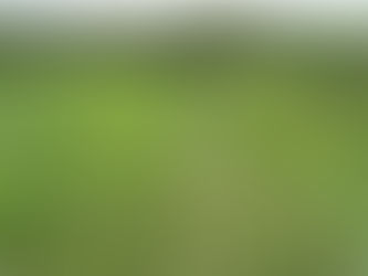 Protecting the Cape’s high-value wetlands and native vegetation 