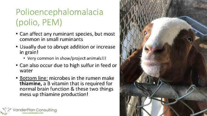 Thumbnail: Veterinary Case Study #1 - Non-transmissible disease (livestock)