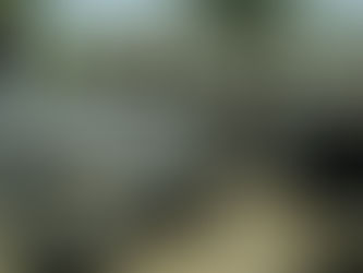 Trump’s Blackwater Pardons Are A U.S.-Issued Licence to Kill