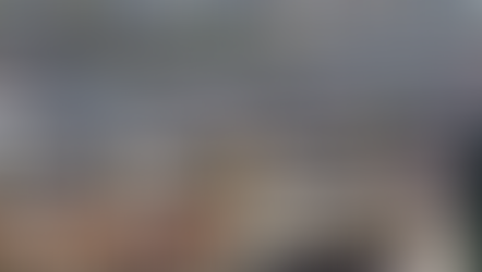 How the New Zealand Housing Crisis Became a Human Rights Investigation