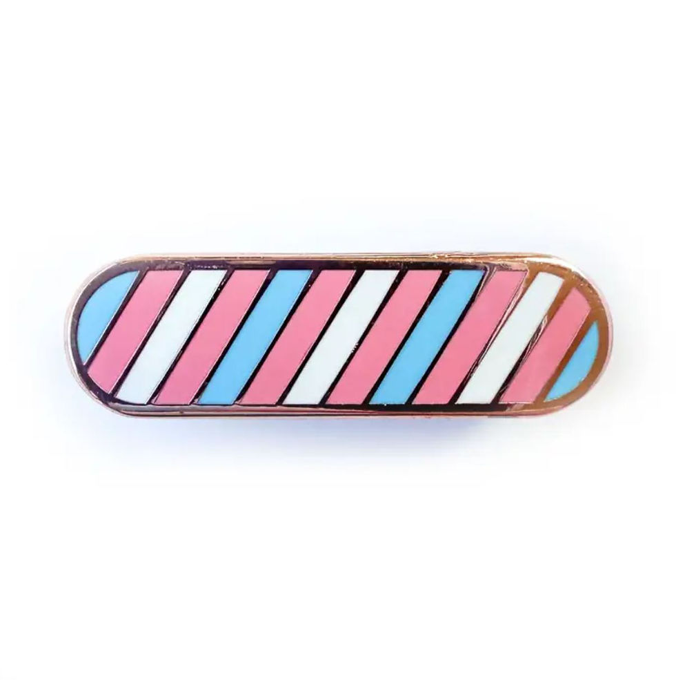Thumbnail: Pride Plaque Enamel Pin
