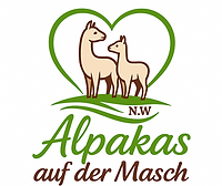 alpakas auf der masch