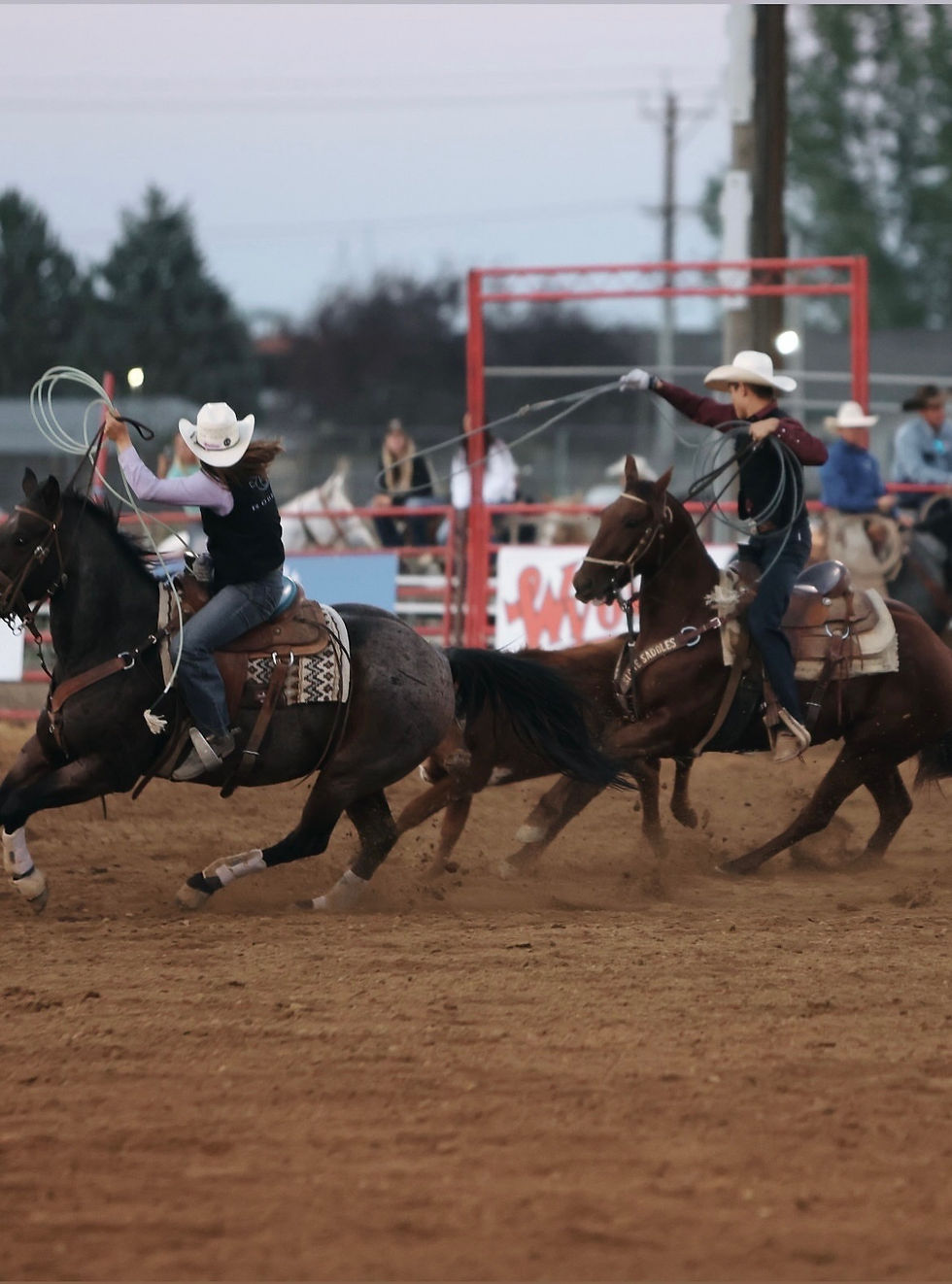 SHERIDAN COLLEGE RODEO
