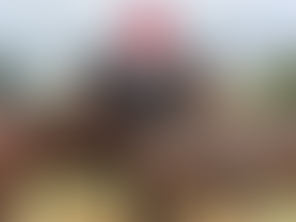 Equine-Assisted Psychotherapy