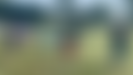 The 2023 CCH-Olympics