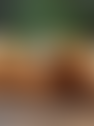 How to Make Irresistible Sourdough Blueberry Muffins at Home