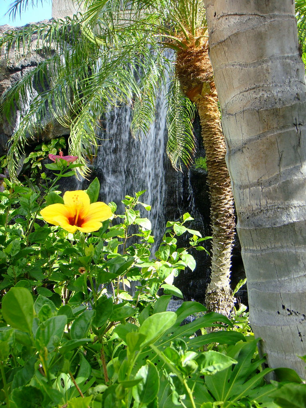 Friendship Flower