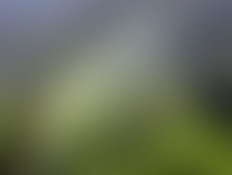 Psalm 19 — The Voice of Creation — When the Heavens Speak and the Soul Listens