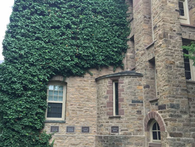 PRINCETON UNIVERSITY