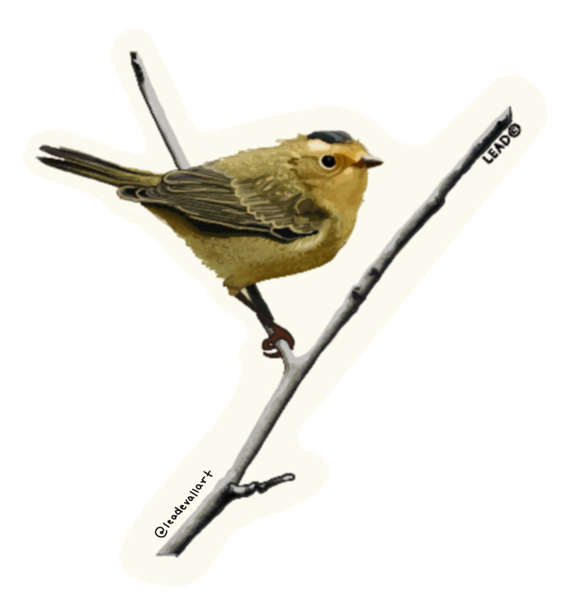 Wilson’s Warbler Sticker 