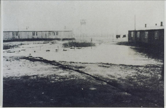 Philip Robertson Tribute by David Robertson  (19).jpeg