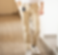jogger gambe.png