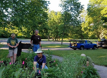 garden at shelter.jpg