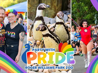 Pride Continues