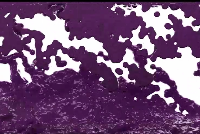 Screenshot 2019-12-16 18.29.06.png