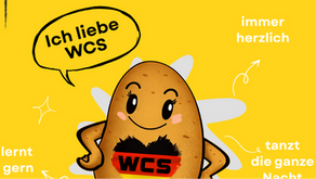 Warum eigentlich eine Kartoffel als unser WCS-Maskottchen? 🥔✨