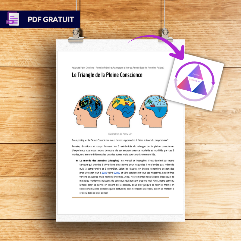 Le Triangle de la Pleine Conscience