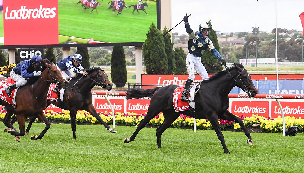 Sir Dragonet winning a Group 1
