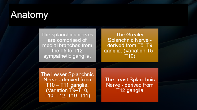 Text slide on anatomy of splanchnic nerves. It outlines the origins of greater, lesser, and least splanchnic nerves in colored boxes.