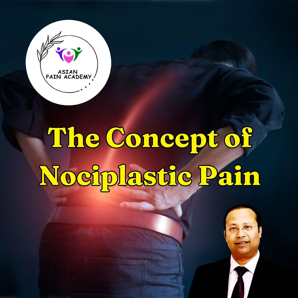 Person holding their back in pain, glowing red spot on back. Logo: Asian Pain Academy. Text: The Concept of Nociplastic Pain.
