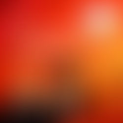 How to Set Up and Configure Your Clinic Details in APA EMR Software? 