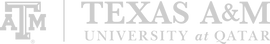 Texas Logo white copy.png