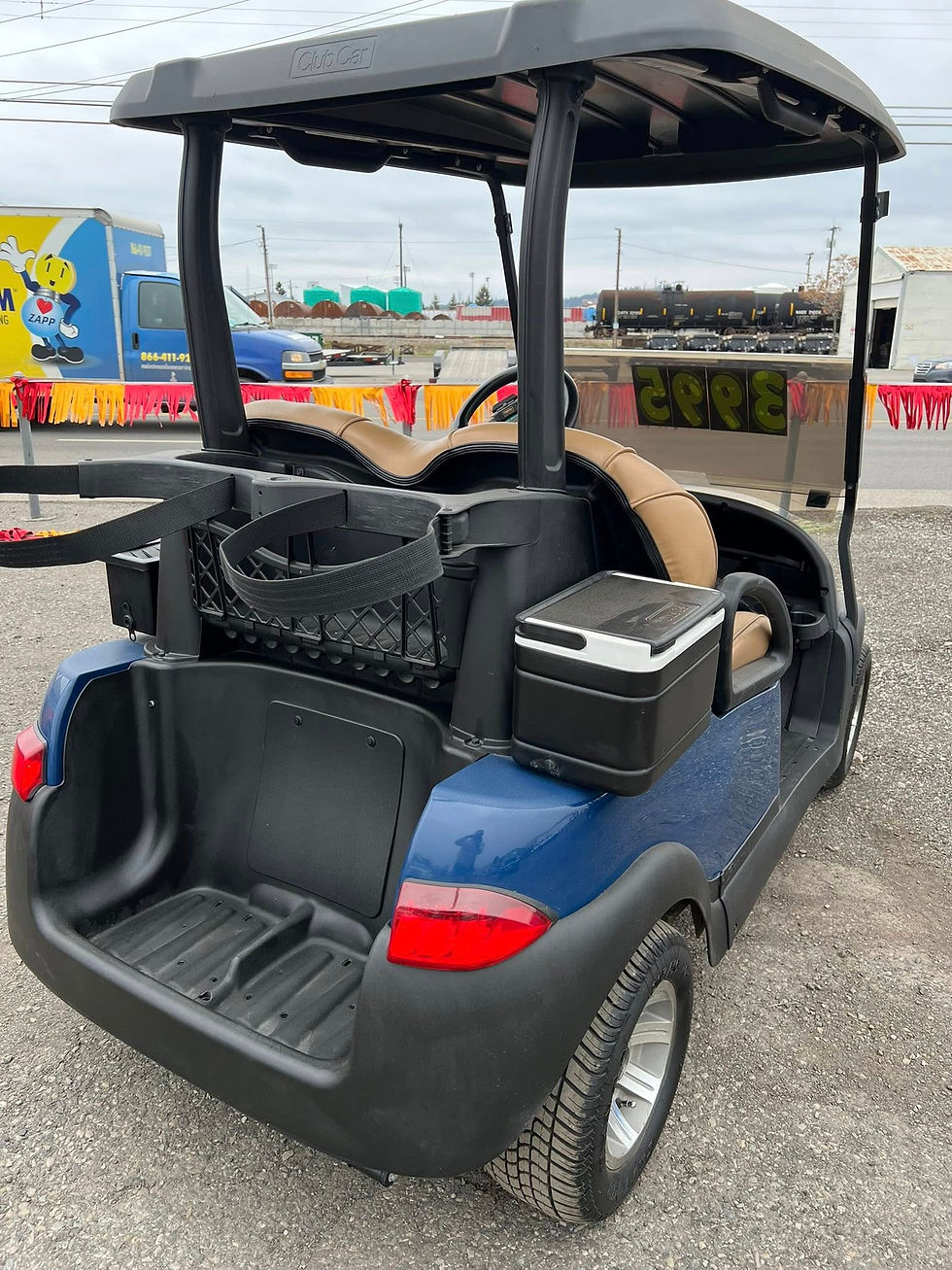 Thumbnail: 2014 Club Car Precedent 48V