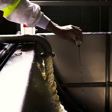 Reportage industriel : la mise en valeur des gestes professionnels