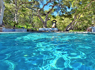 Pool Picture 4.jpg