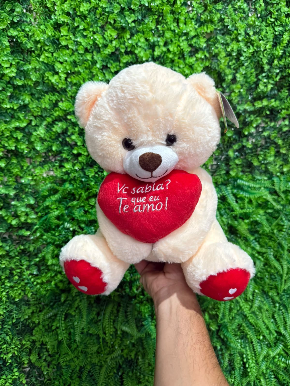 Urso de Pelúcia “Você Sabia que Eu Te Amo?”
