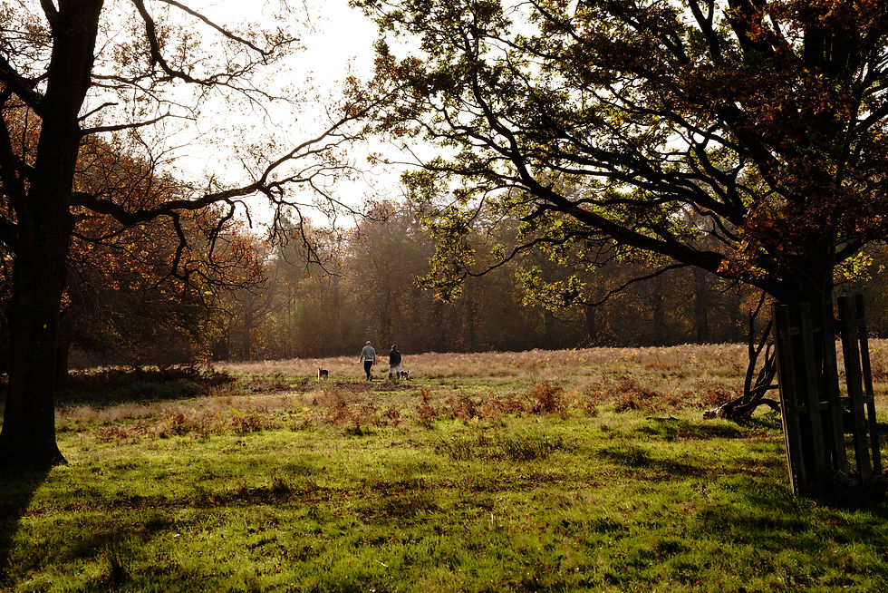 Thumbnail: Whispers Of Natures