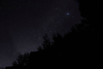 Vanshika Anmol (NM) 4.1