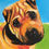 Thumbnail: Paint your Pet Pack