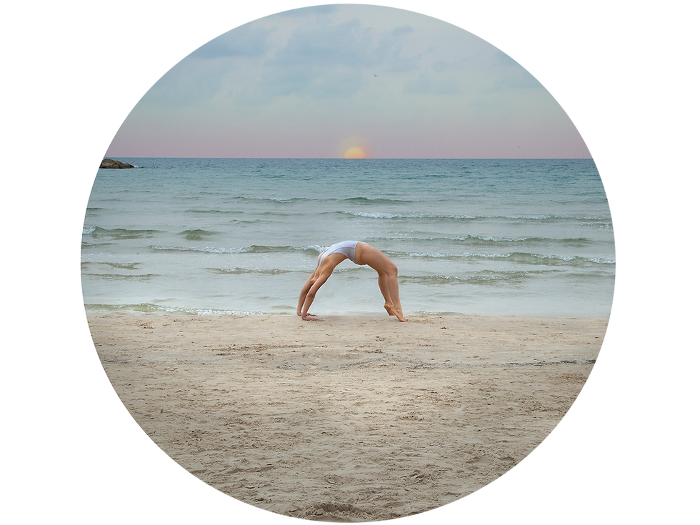 הדר מיץ - גשר