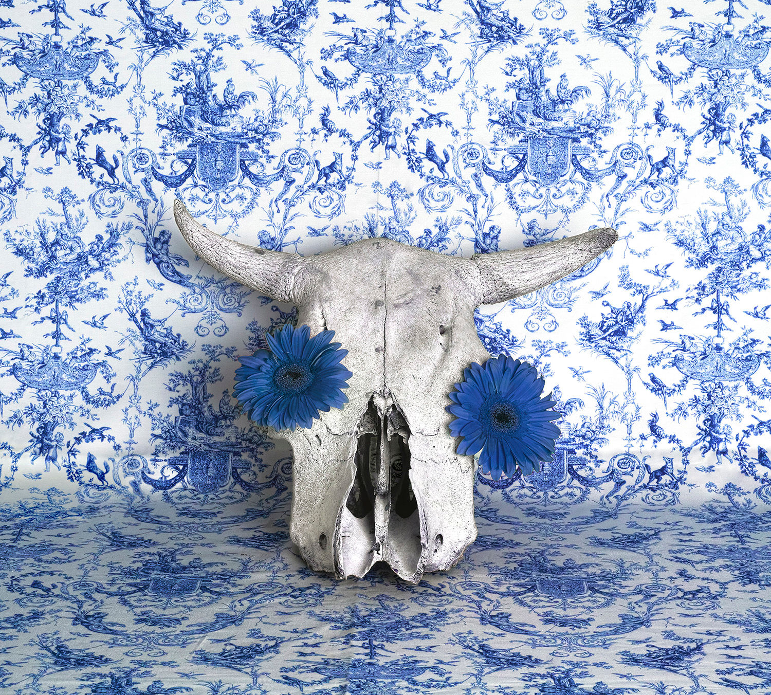 הדר מיץ - גולגולת דלפט