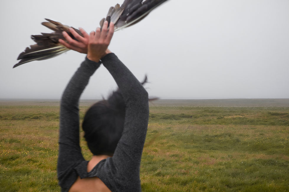 הדר מיץ - רוח