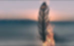 78E587BB-46EB-46A4-B93D-F786937FE43E_1_201_a.jpeg