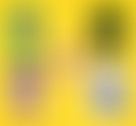 It's World Book Day!