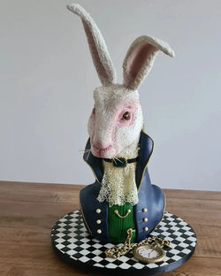 Alice in Wonderland rabbit