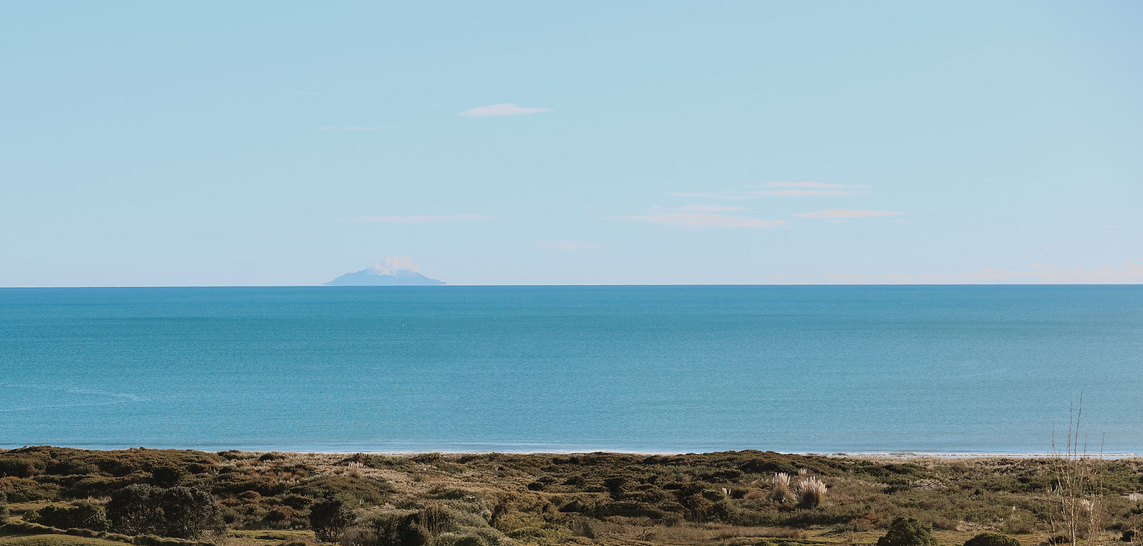 IMG_2226_whakaari CROP.png