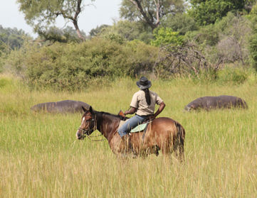Riding guide on a horse with hippos in the background in the Okavango Delta.