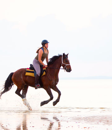 Mozambique Horse Safari