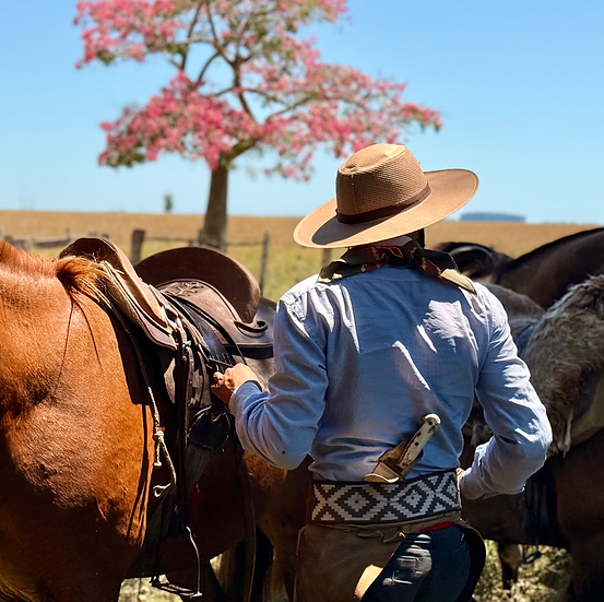 Argentine gaucho saddling his horse