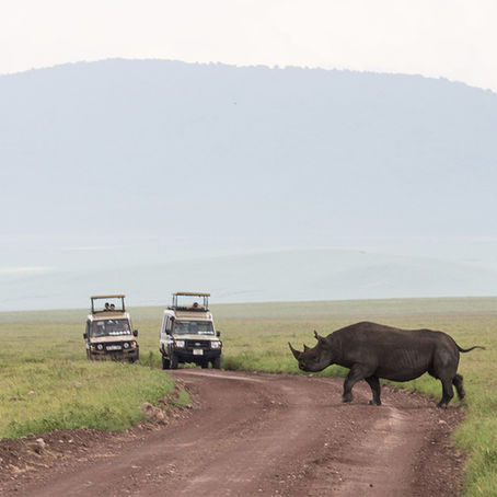 Why Your Safari Camp Location Matters More Than the Animals You See (2026 Guide) Tanzania Safari