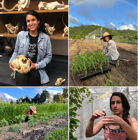 Jesyka_Melendez_Finca_JEVANA