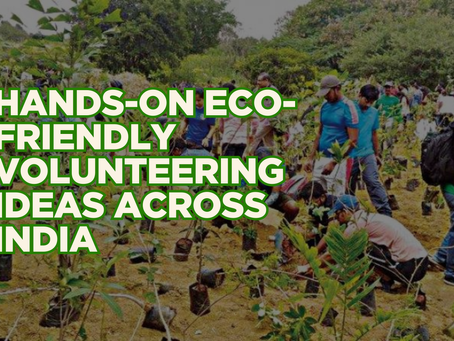 Eco-Friendly Volunteering Ideas in India: Support Climate Action
