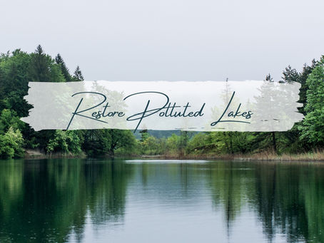 The Complete Guide to Restore Polluted Lakes in India with Simple Steps in 2026